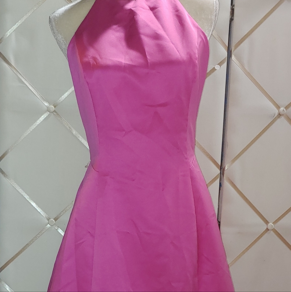 Pink Betsy and Adam Prom Dress
